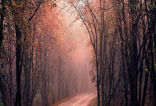 全国文化和旅游新媒体创新发展大会汇聚业界智慧